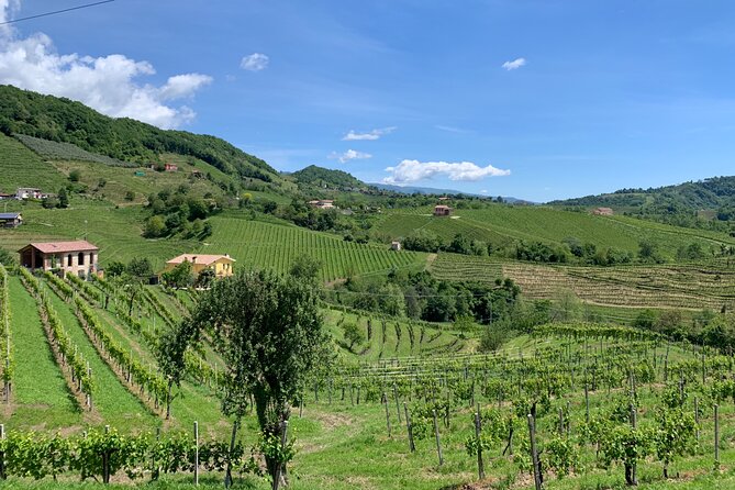 A Sparkling Day in the Prosecco Hills from Venice - A viewpoint among the Prosecco Hills