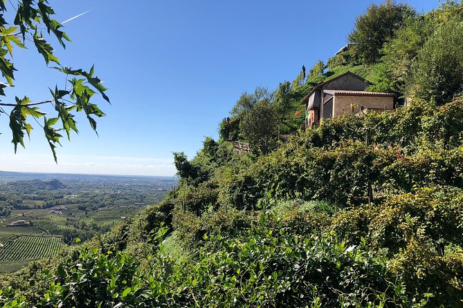 A Sparkling Day in the Prosecco Hills from Venice - Group size, pace, and physical demands