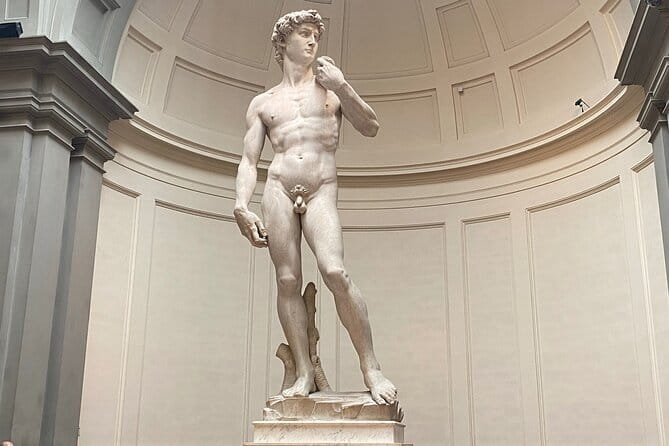 Accademia Gallery: Michelangelo's David and High Renaissance Art - Why David deserves more than a quick photograph