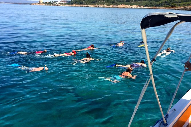 Alghero - Dolphin Watching and Guided Snorkeling (summer tour) - What the four hours feel like