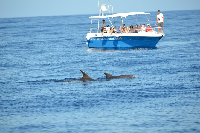 Alghero - Dolphin Watching and Guided Snorkeling (summer tour) - Leaving Alghero for Capo Caccia