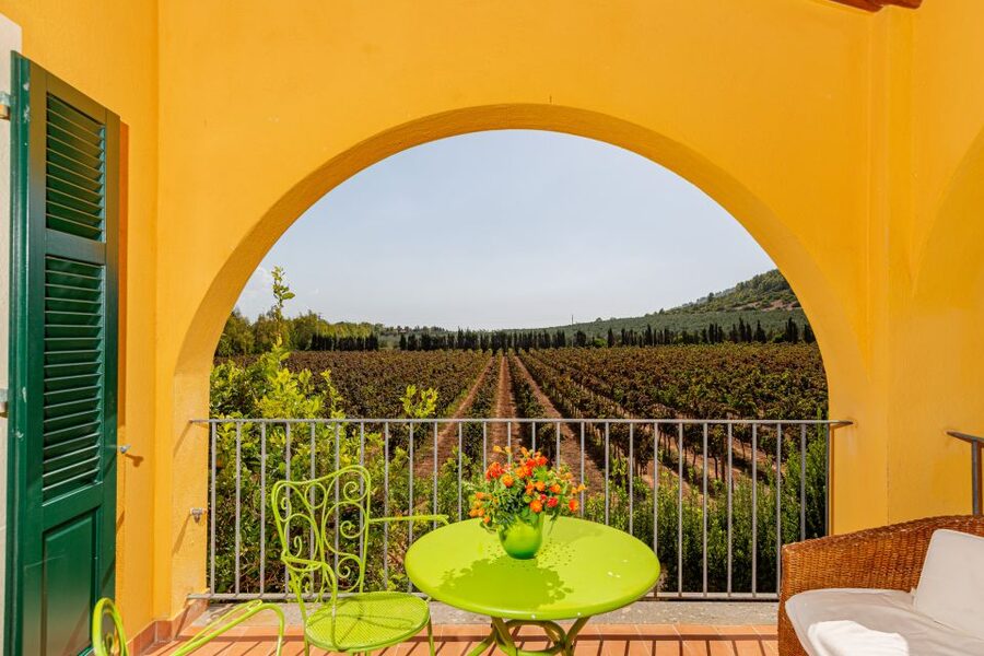 Alghero: Wine and Olive Oil Tasting at a Local Farm - Five wines and the foods beside them