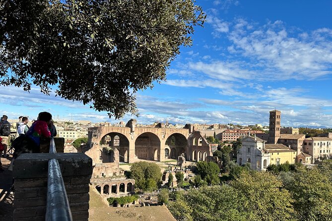 Ancient Rome Discovery: Colosseum, Forum, Palatine Guided Tour - Meeting point, timing, and identification