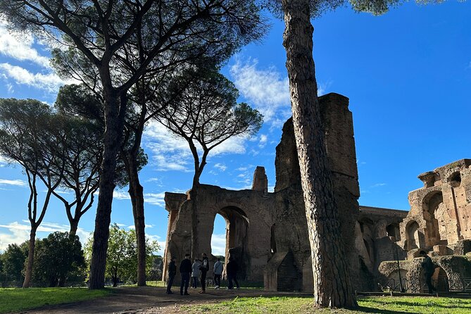 Ancient Rome Discovery: Colosseum, Forum, Palatine Guided Tour - Who should book this ancient Rome tour?