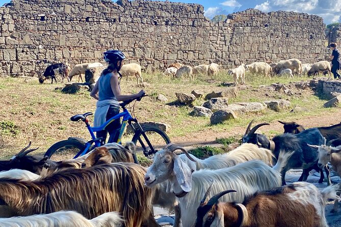 Appian Way & Aqueducts small group e-bike tour(catacombs & food) - A Roman food stop at Fonte Acqua Egeria