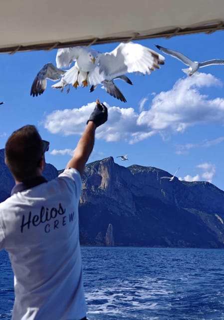 Arbatax: Gulf of Orosei Day Tour by Boat - Boarding at Arbatax and settling into Helios Primo