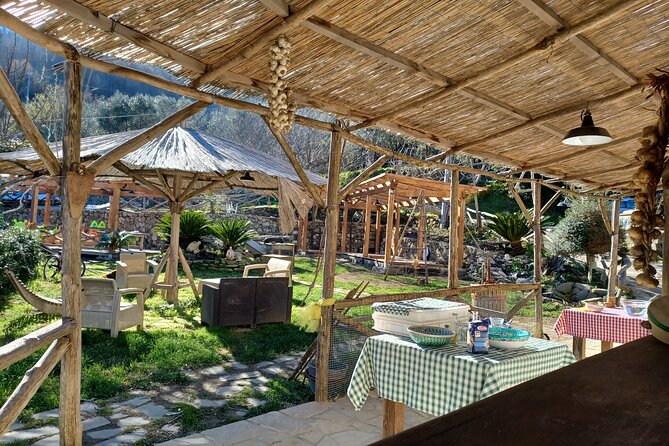 Authentic Farm Tour with Pizza, Cheese, Wine & Limoncello Tasting - From Sorrento’s streets to Primaluce’s hilltop farm