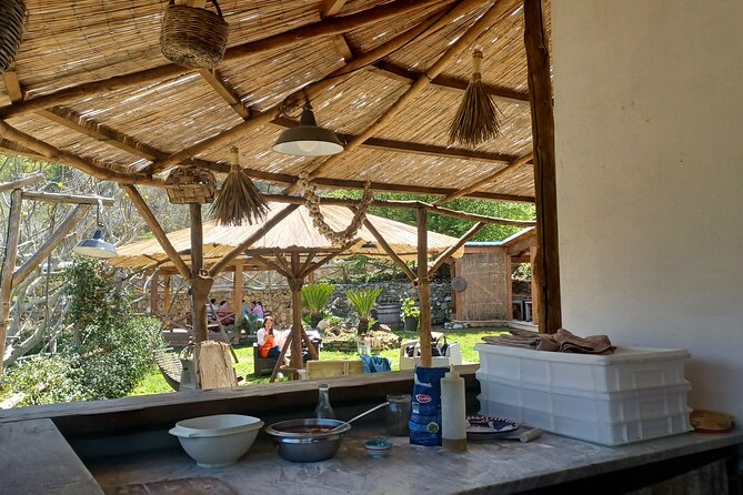 Authentic Farm Tour with Pizza, Cheese, Wine & Limoncello Tasting - Should you book this Sorrento farm tour?
