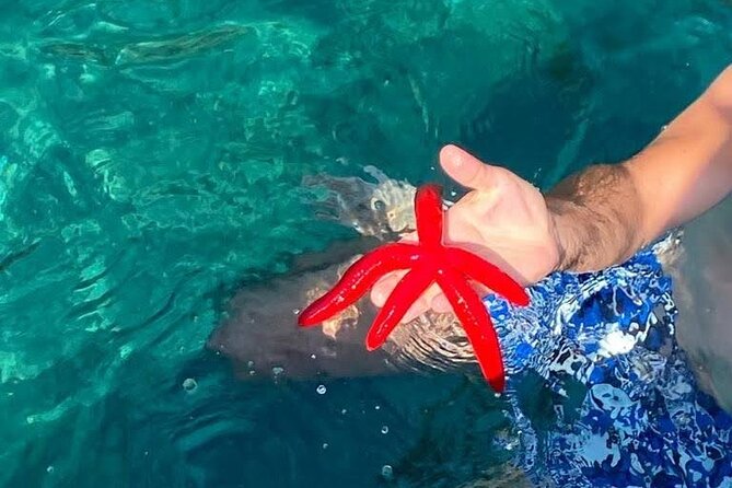 Boat tour Giardini Naxos Taormina Isola Bella Blue Grotto - The Blue Grotto and the limits of the itinerary