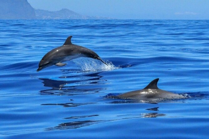 Boat tour Giardini Naxos Taormina Isola Bella Blue Grotto - Prosecco, almond sweets, and the right food expectations