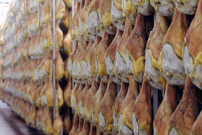 Bologna Food Experience: Factory tours & Family-Style Lunch - Booking timing and cancellation