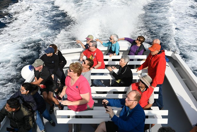 Capri Coast to Coast: Boat Tour with Optional Blue Grotto - Boat size, comfort, and sea conditions
