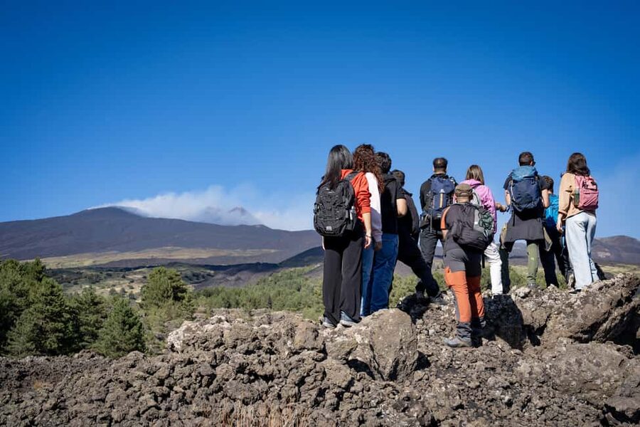 Catania: Amazing Etna Morning Tour with Pickup and Drop-Off - Transport, timing, and what $81 buys you
