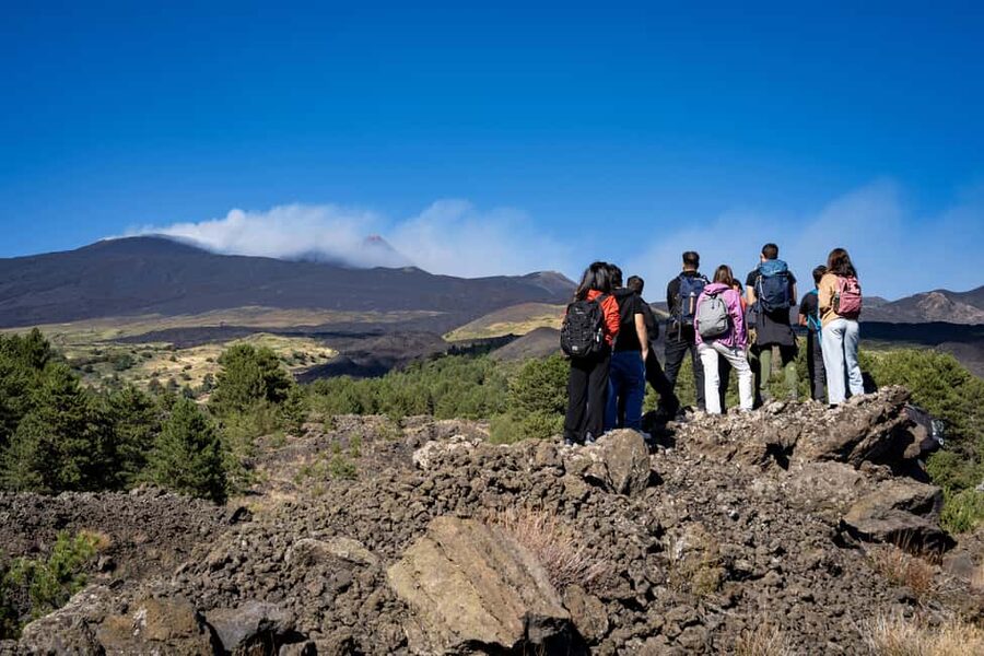 Catania: Amazing Etna Morning Tour with Pickup and Drop-Off - Who will enjoy this outing most