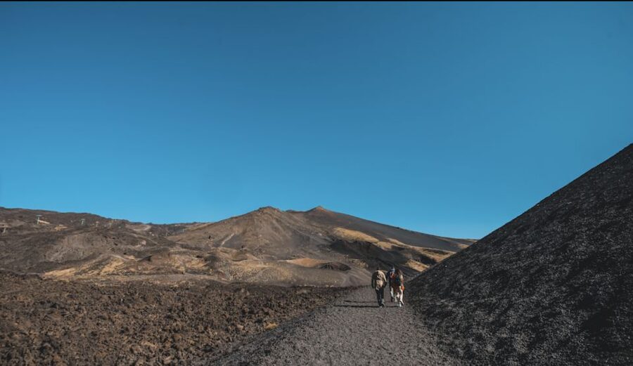 Catania: Etna Morning Excursion with Tasting and Pickup - Key points to know before you book