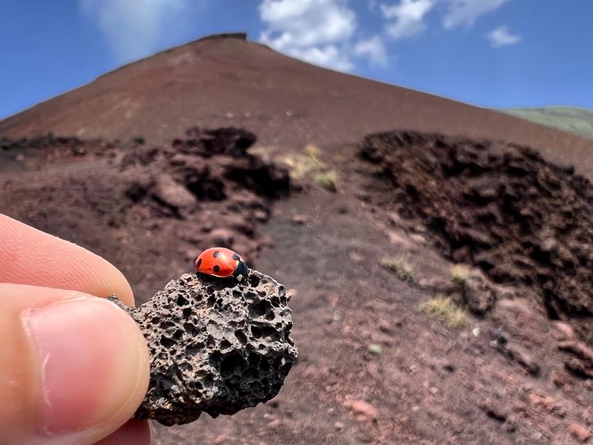 Catania: Etna Morning Excursion with Tasting and Pickup - Who will enjoy this tour most?