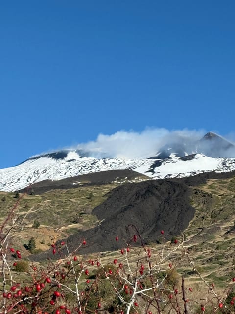 Catania: Morning Jeep Tour of Mount Etna and Lava Flow Caves - Looking across the Valle del Bove