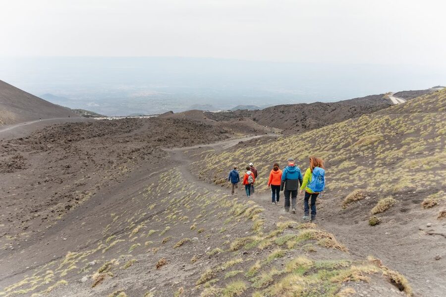 Catania: Mount Etna Morning or Sunset Day Trip with Tasting - Who should book this trip