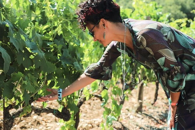 Chianti Wine Tour from Florence - Leaving Florence for the Via Chiantigiana