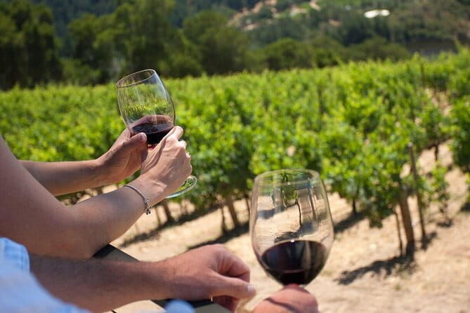 Chianti Wine Tour from Florence - What you actually taste