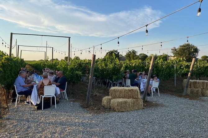 Chianti Wine Tour from Florence with Tastings - Casale dello Sparviero and the second tasting