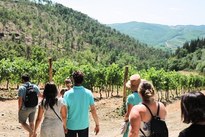 Chianti Wine Tour from Florence - The road into Sienese Chianti Classico