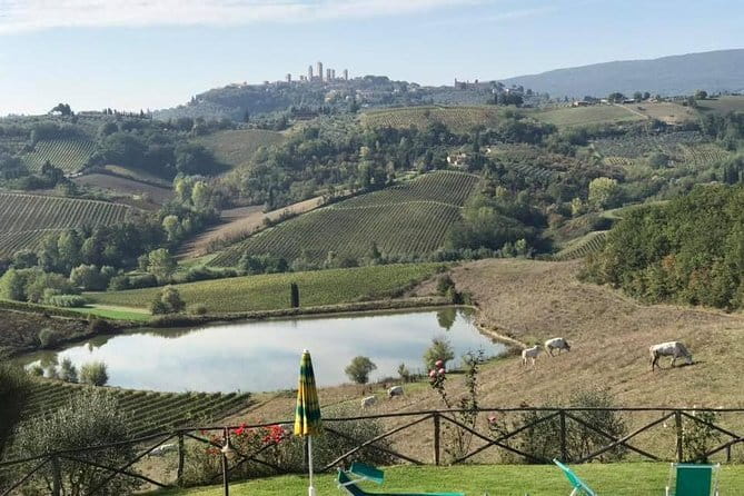 Chianti Wineries Tour with Tuscan Lunch and San Gimignano - The first Chianti winery: intimate, local, and scenic