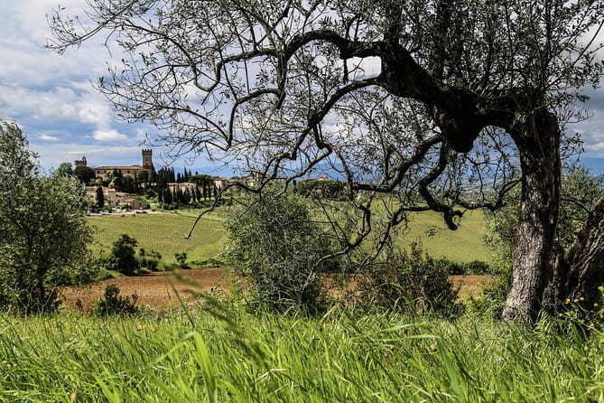 Chianti Wineries Tour with Tuscan Lunch and San Gimignano - Piazzale Michelangelo gives Florence the last word