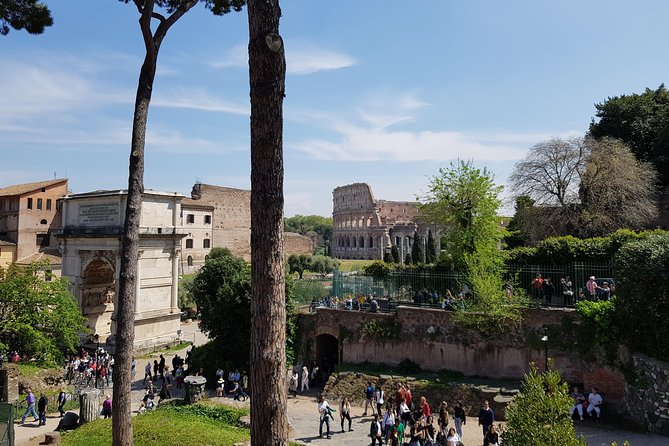 Colosseum Arena Floor, Roman Forum and Palatine Hill Guided Tour - Why the Live Guide Matters