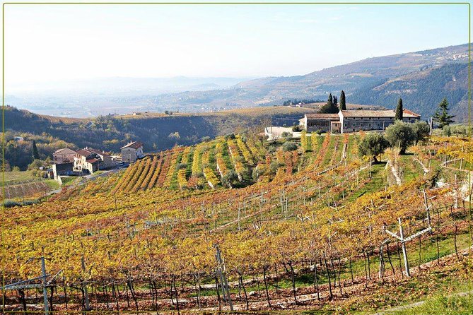 Discover Valpolicella Vineyards and Wine Tasting Experience - Getting from Verona to Marano di Valpolicella