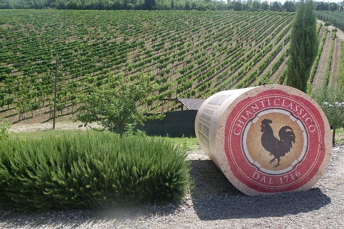 Essence of Chianti Small Group Tour with Lunch and Tastings from Florence - Why This Chianti Day Trip Works So Well