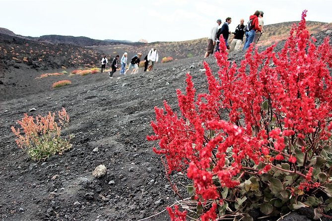 Etna Morning Trip - What the Etna morning trip really delivers
