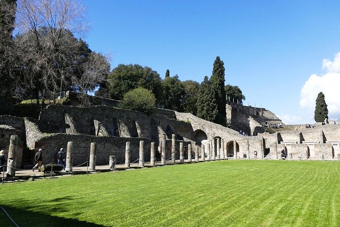 Explore Pompeii Half Day Highlights Tour with Pickup from Naples - The transport and pickup details you need