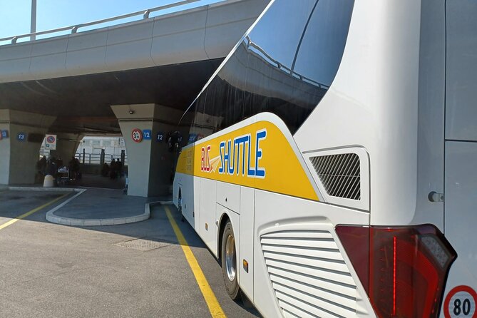 Fiumicino Airport Shared Shuttle Bus to Rome Termini & Vatican - Finding the airport bus after baggage claim