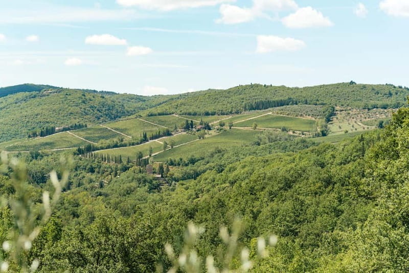 Florence: Chianti Wineries Tour with Wine Tasting - Second winery: more production, more time for photographs