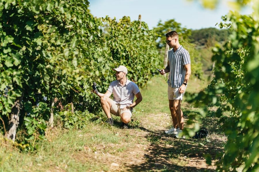 Florence: Chianti Wineries Tour with Wine Tasting - Wine, food, and what you are really paying for