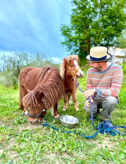 Florence: Countryside Tour with Wine Tasting & Pasta Class - From Florence to the Fucecchio Farm