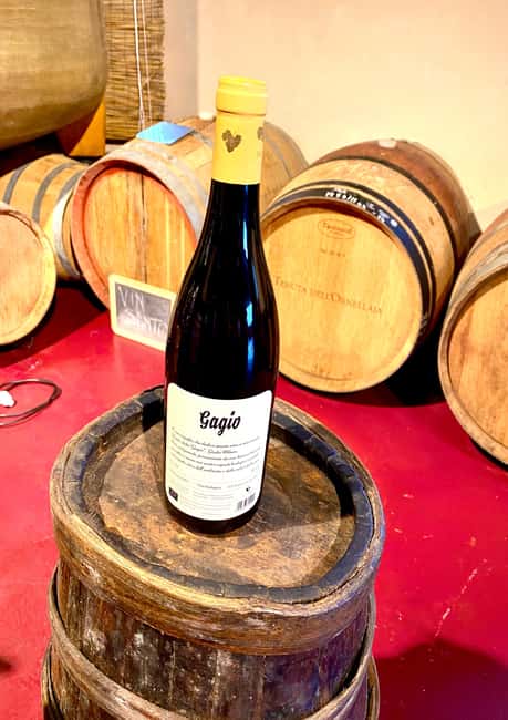 Florence: Countryside Tour with Wine Tasting & Pasta Class - Should You Book It?