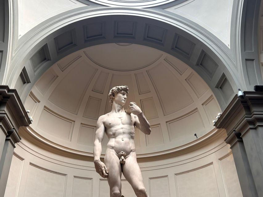 Florence: Michelangelo's David Entrance Ticket and Audio App - Key points at a glance