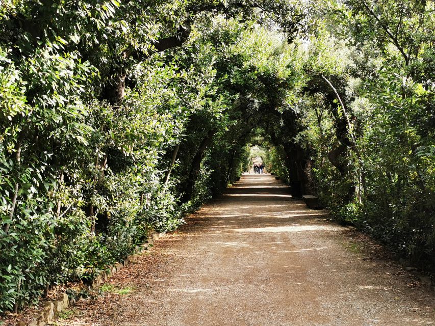 Florence: Pitti Palace, Boboli Garden, Palatine Gallery Tour - Medici power told through rooms, objects, and paintings