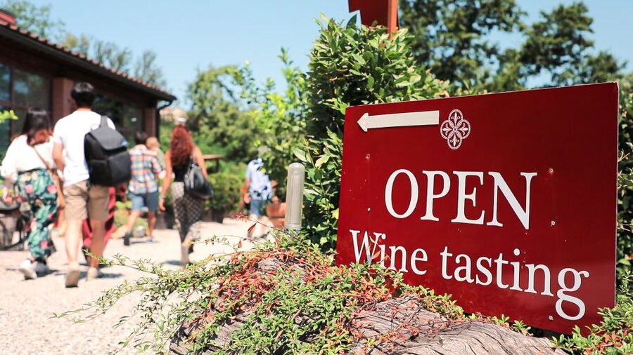 Florence: S. Gimignano, Siena, Chianti & Wine Tasting Lunch - Key points at a glance