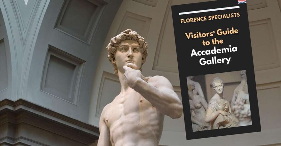 Florence: Timed Entry Ticket to Michelangelo's David & eBook - Medici instruments and three Stradivarius pieces