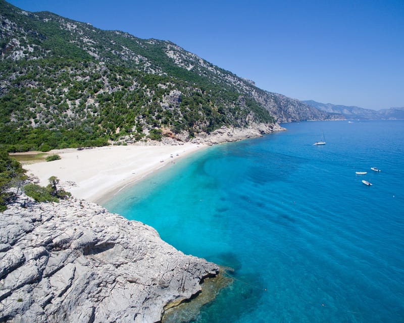 From Arbatax: Full-Day Guided Boat Tour of the Baunei Coast - Grotta del Fico and the monk seal connection