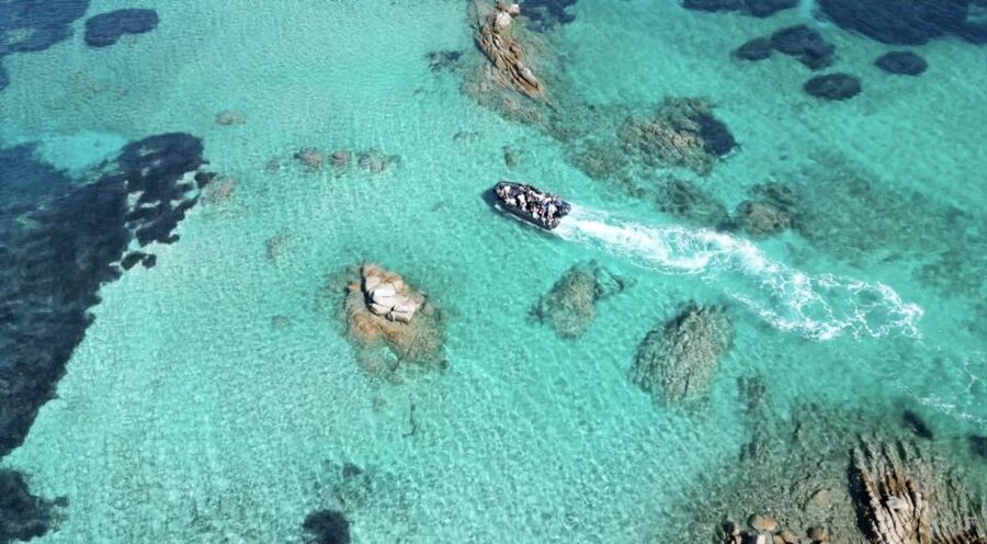 From Cannigione: La Maddalena Archipelago Boat Trip - What the Virginia boat trip is really like