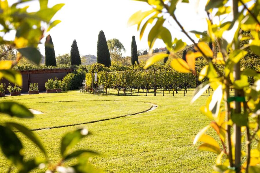 From Florence: Chianti Half-Day Afternoon Tour - First tasting at Poggio ai Laghi