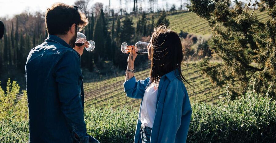 From Florence: Chianti Hills Half-Day Tour with Wine Tasting - A welcome toast, vinegar cellar, and vin santo