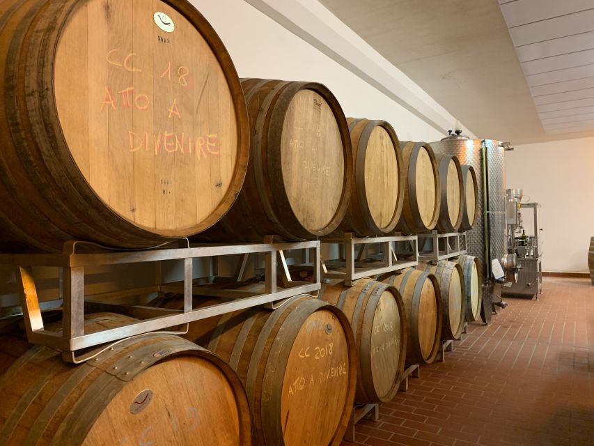 From Florence: Chianti Hills Half-Day Tour with Wine Tasting - Two winery styles in one short visit