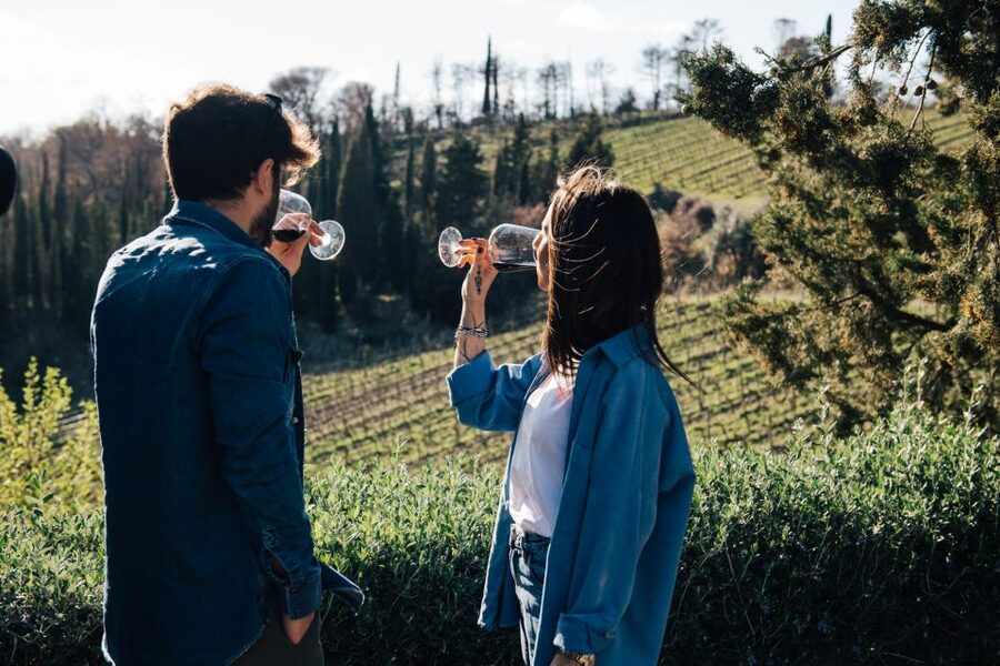From Florence: Chianti Hills Half-Day Tour with Wine Tasting - Walking between the vines