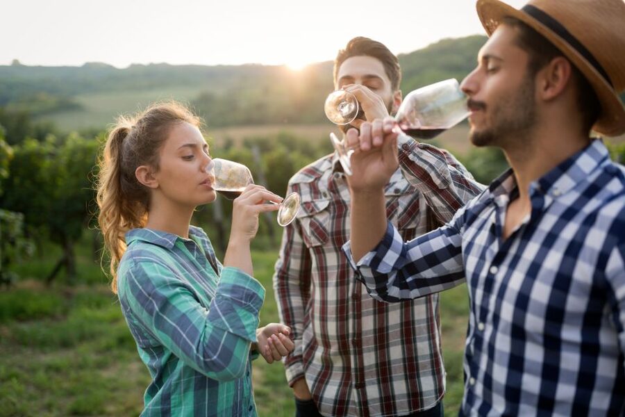 From Florence: Chianti Wine Tour with Tasting - Who will enjoy this Chianti tour?