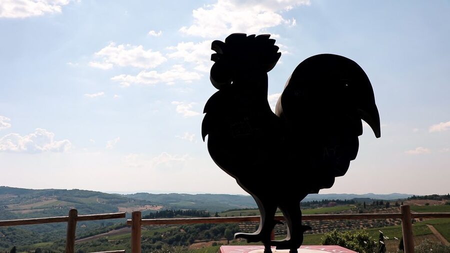 From Florence: Chianti Wine Tour with Tastings - Should you book the Chianti wine tour?